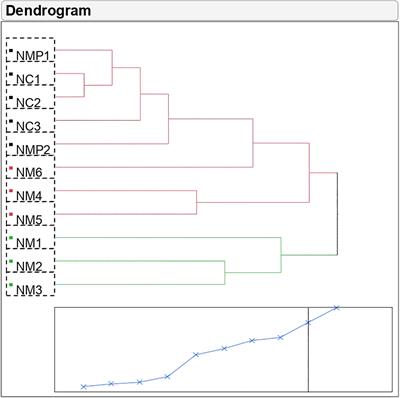 Volatile profiling as a potential biochemical marker for validation of gamma irradiation derived putative mutants in polyembryonic genotypes of mango (Mangifera indica L.)